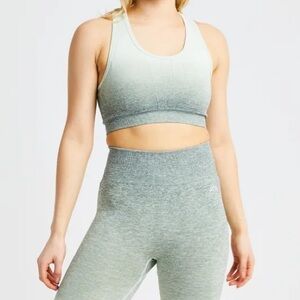 AYBL Pulse Ombre Seamless Sports Bra